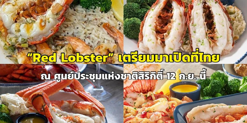 Red Lobster ร้านอาหารทะเลที่มีสาขามากมายทั่วโลก เตรียมมาเปิดสาขาที่ไทย