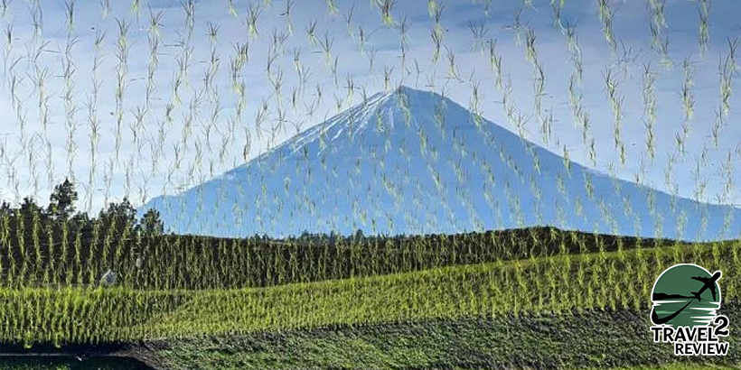 ภาพ “ภูเขาไฟฟูจิ” มุมใหม่ สะท้อนน้ำในนาข้าว กับเทคนิคถ่ายภาพพิเศษ