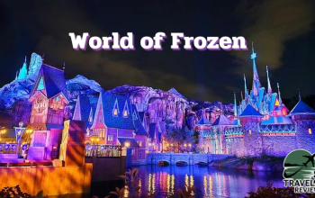 World of Frozen